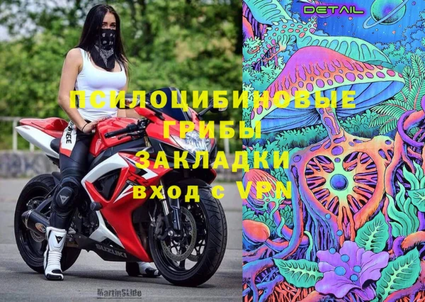 ешки Липки