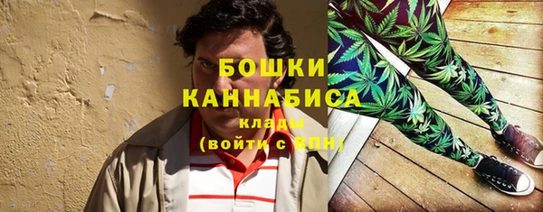 мдпв Лагань
