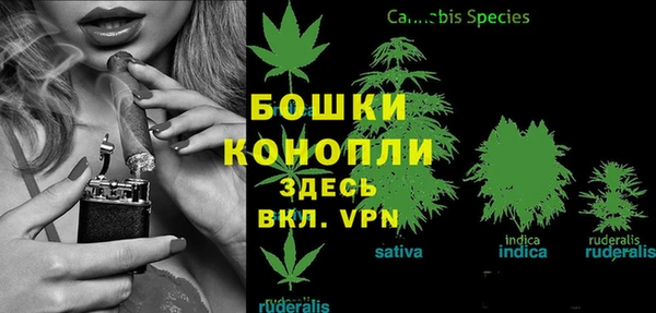 ешки Липки