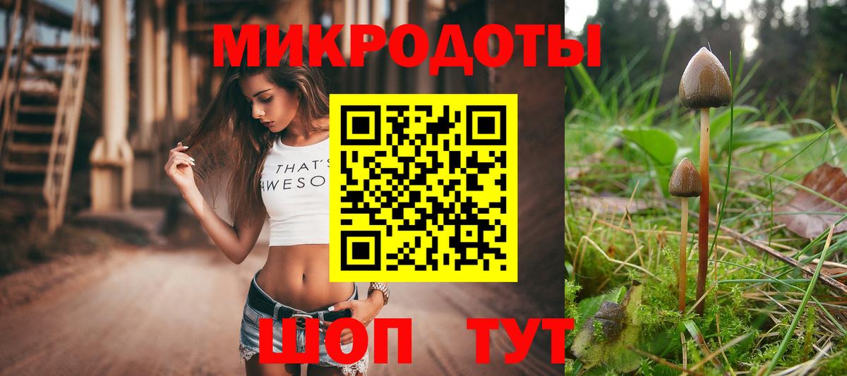 Псилоцибиновые грибы Psilocybine cubensis Сургут