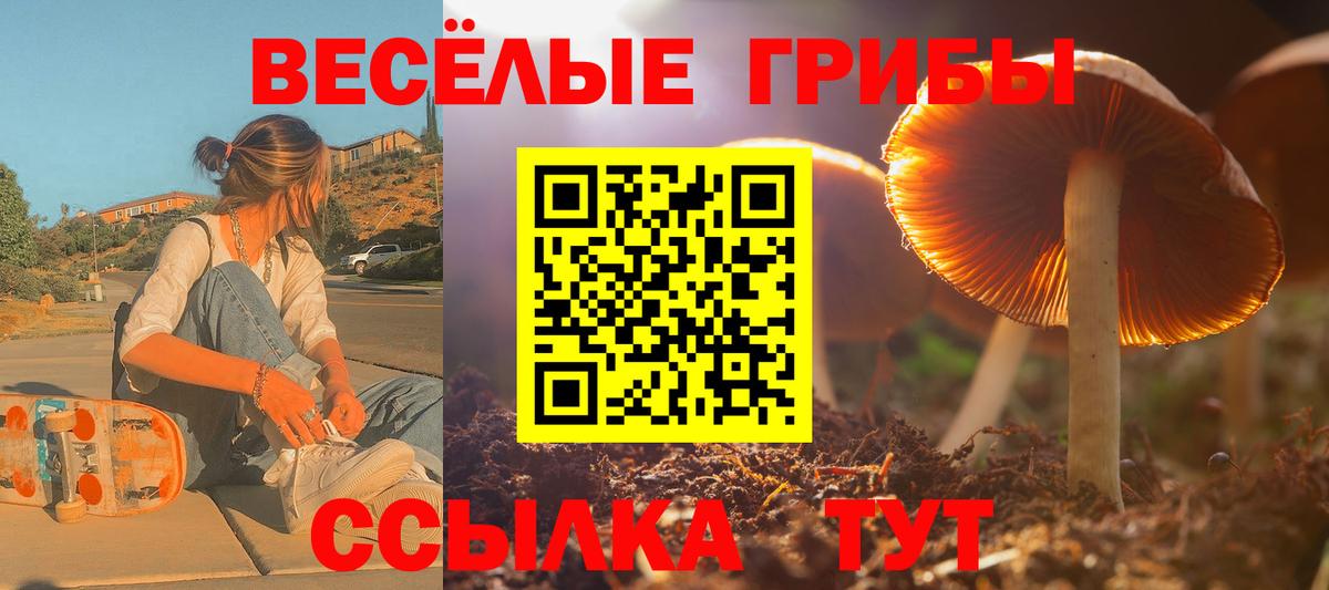 Сургут  Галлюциногенные грибы мухоморы  Вход с VPN  Псилоцибиновые грибы мицелий 